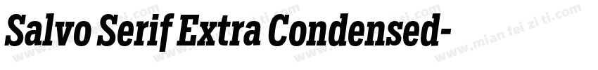 Salvo Serif Extra Condensed字体转换